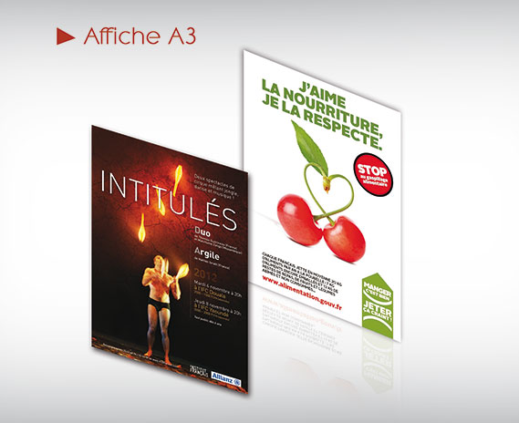 Affiche A3 (29,7x42 cm)