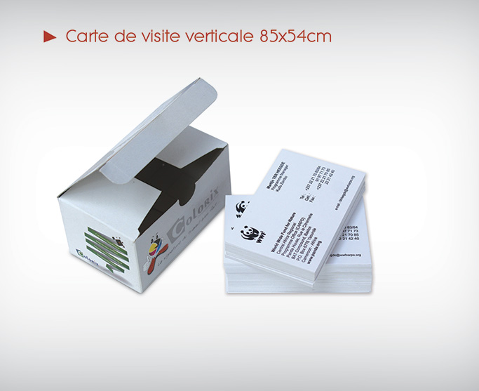 Carte de visite verticale 85x54cm